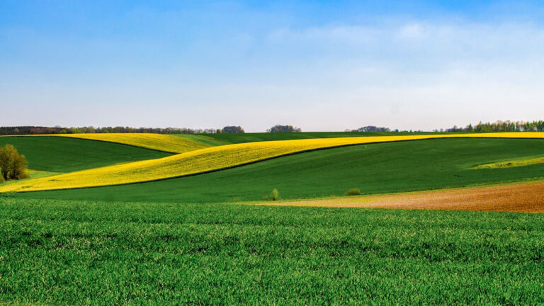 Como avaliar a infraestrutura de uma fazenda