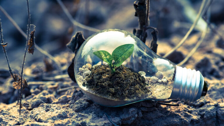 O potencial de propriedades rurais para produção de bioenergia
