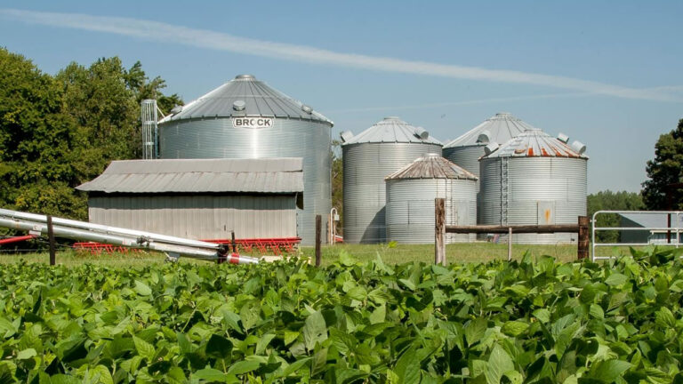 Os melhores tipos de galpões para armazenagem agrícola