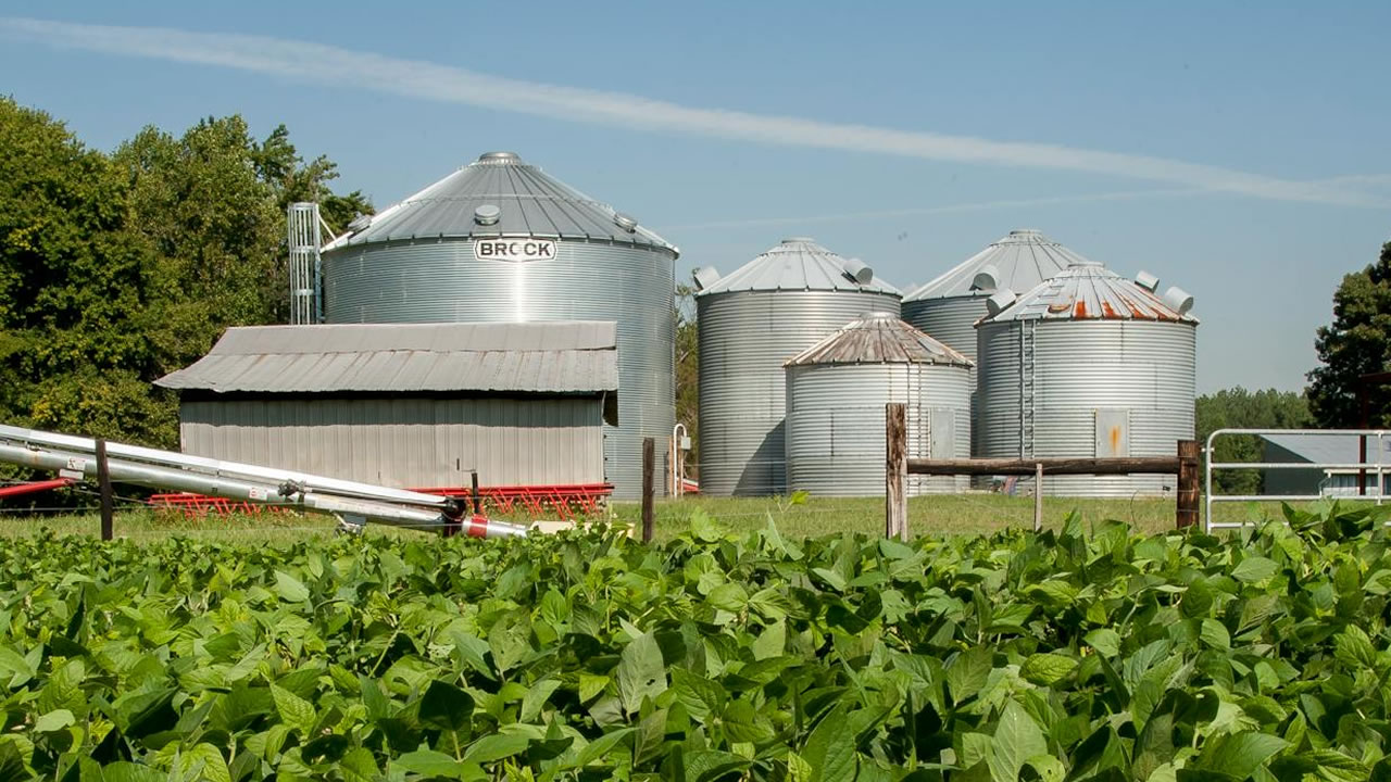 Os melhores tipos de galpões para armazenagem agrícola